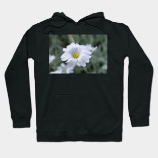 White flower Hoodie